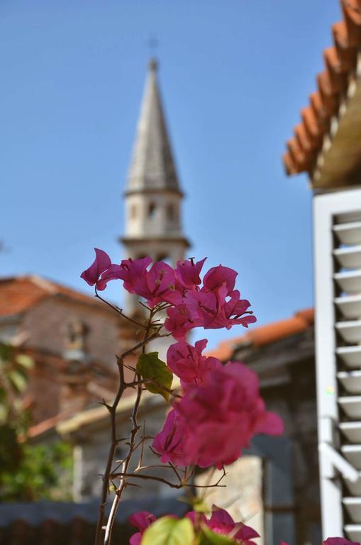 Freedom Hostel Budva Zewnętrze zdjęcie